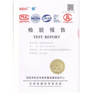 固体绝缘环网柜