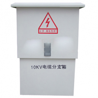 10KV-DFW-12630A电缆分支箱
