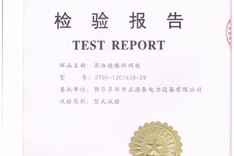 固体绝缘环网柜
